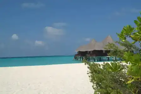 Coco Palm Dhuni Kolhu - 21