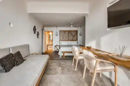 Alissachni Mykonos - 46