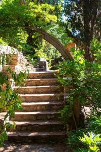 Provençal - 28