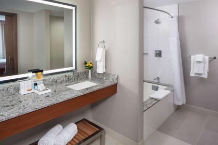 DoubleTree by Hilton - Mayo Clinic Area - 75