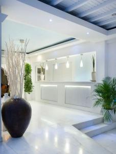 Dionysos Luxury Mykonos - 13