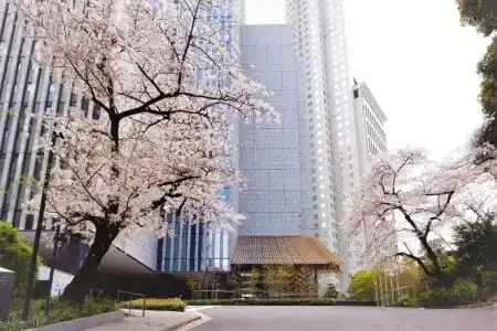 The Capitol Tokyu - 25