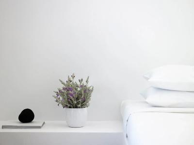 Aurora Luxury Suites - 63