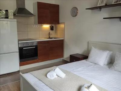 Corvin Center Suites - 89