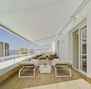 Don Pancho - Designed for Adults - 33