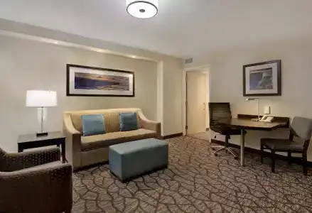 Embassy Suites by Hilton/ Fallsview - 60
