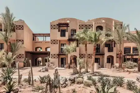 Cook’s Club El Gouna (Adults Only) - 0