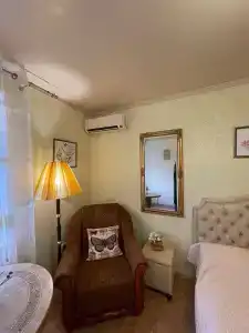 Кипарис на Красноармейском - 10