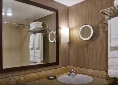 Sheraton Atlanta - 56