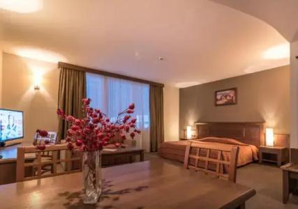 Lion Bansko - 58