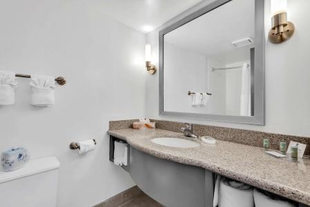 Best Western Orlando Gateway - 16