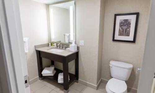 Hilton/ Fallsview and Suites - 50