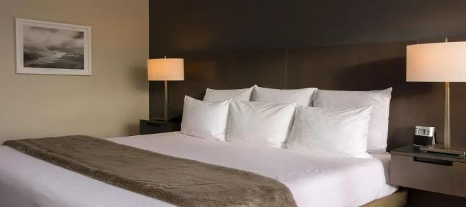 The Benson Portland, Curio Collection by Hilton - 50
