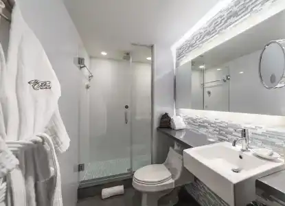 The Palms & Spa - 50