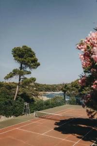 Provençal - 25