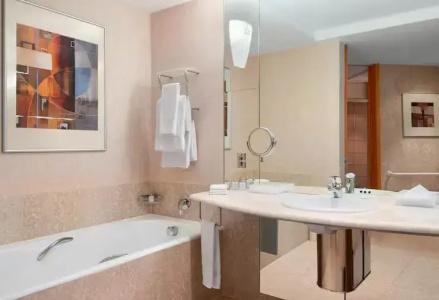 Hilton Sao Paulo Morumbi - 81