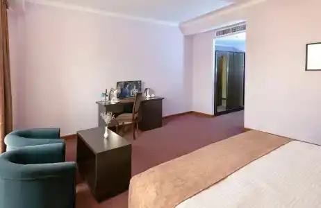 Ani Central Inn - 63