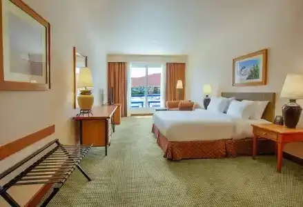 Hilton Alexandria Green Plaza - 39