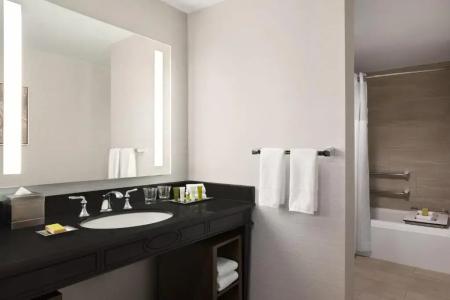 Hilton New Orleans / St. Charles Avenue - 52