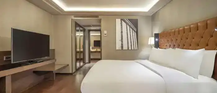 Ankara HiltonSA - 66
