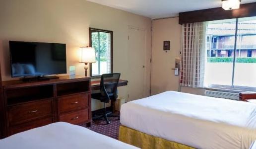 Rosen Inn International Near The Parks - 57