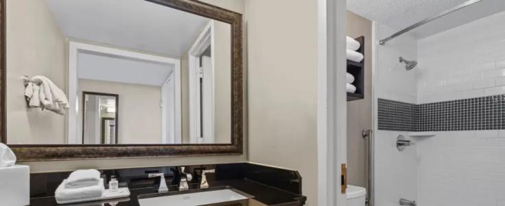 Crowne Plaza Atlanta Midtown, An Ihg - 89