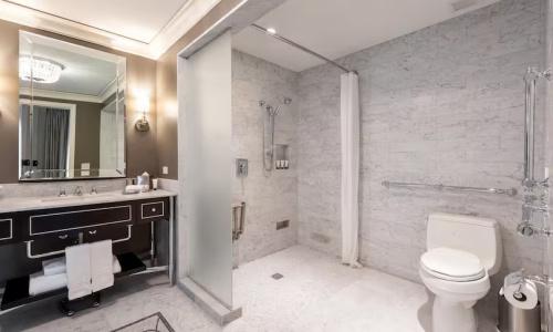 Waldorf Astoria Chicago - 85