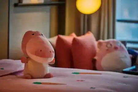 Sheraton Guangzhou Panyu - 58