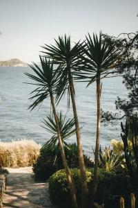 Provençal - 29