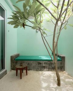 Bliss Dhigurah - 50