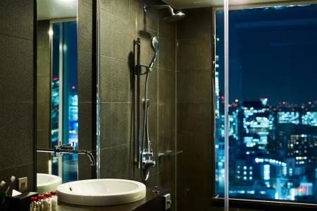 Mitsui Garden Ginza Premier - 43
