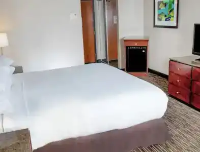 DoubleTree by Hilton Las Vegas Airport - 56