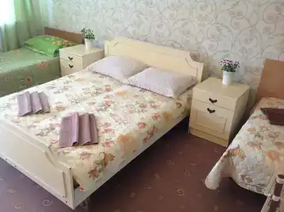Диво - 9
