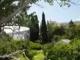 Run of House