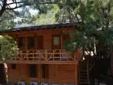 Run of House