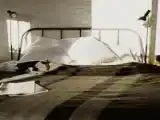 Двухместный номер Superior