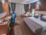 Номер Deluxe с видом на сад