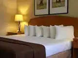 Студия