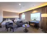 Номер Premier