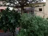 Run of House