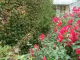 Run of House