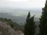 Номер Superior