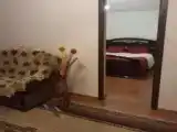 Двухместный номер Стандарт с видом на горы