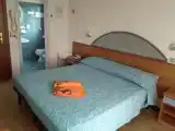 Run of House
