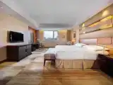 Двухместный номер Deluxe с видом на город