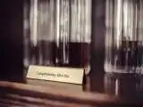 Номер Classic