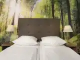 Двухместная студия