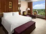 Двухместный номер Deluxe с видом на бассейн
