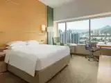 Двухместный номер Executive lounge access с видом на город