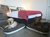 Коттедж